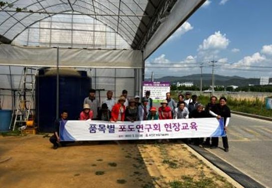 옹진군 품목별 포도연구회 현장교육 실시