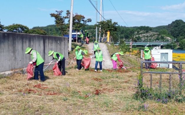 영천시 동부동 자연보호협의회, 여름맞이 환경정화 봉사활동 실시