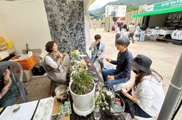 함양산삼축제위원회, 하동세계차엑스포 벤치마킹