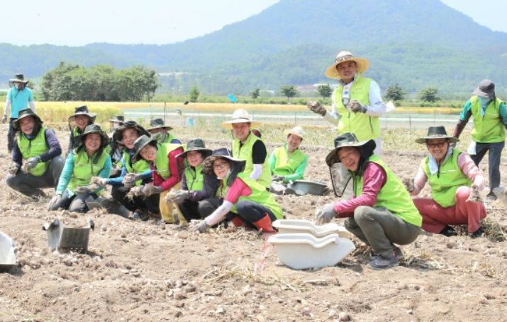 농번기에 바쁜 농촌일손돕기