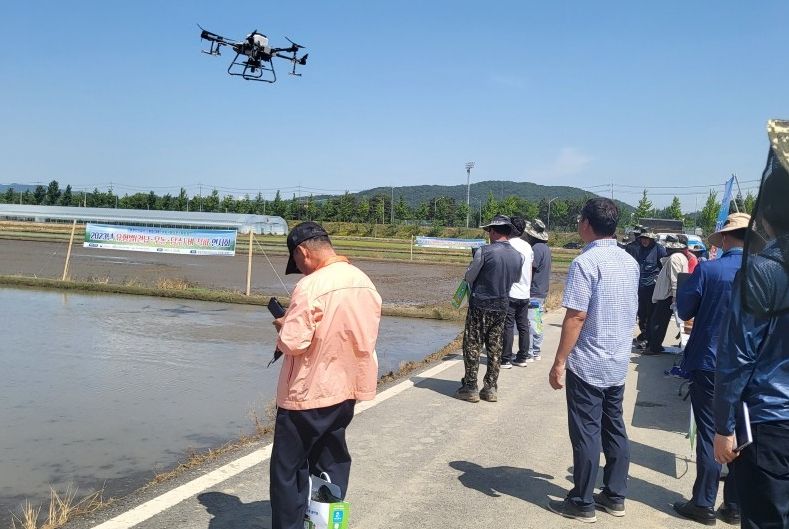 드론 담수직파 파종장면