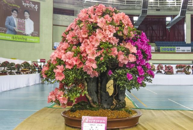 과거 전시회사진