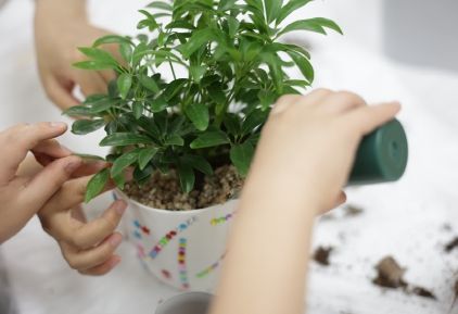 클라랑스 봉사단과 함께하는 반려식물 만들기
