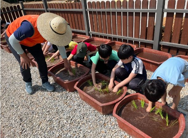 5월 16일 영남초등학교에서 진행한 농촌체험활동 모내기 행사