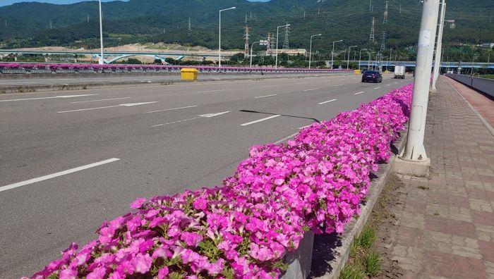 1. 시가지 도로변에 설치된 꽃다리 및 가로등 화분