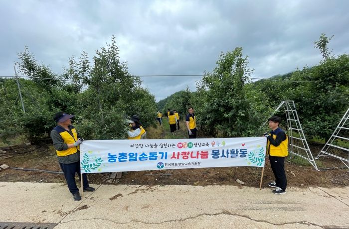 - 사과 적과 작업 활동 사진