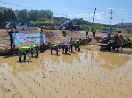 성주군 대가면지역사회보장협의체, 관내 저소득층 지원사업을 위한 모내기 실시