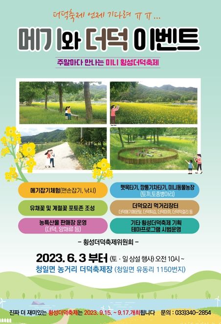 주말마다 만나는 미니 횡성더덕축제