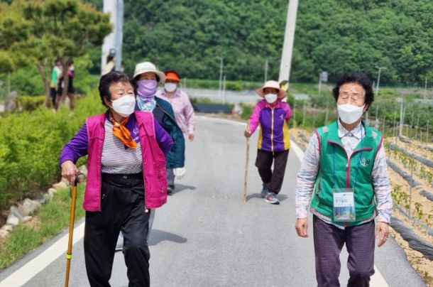 청송군, 청송읍건강마을 걷기 스탬프 챌린지 운영