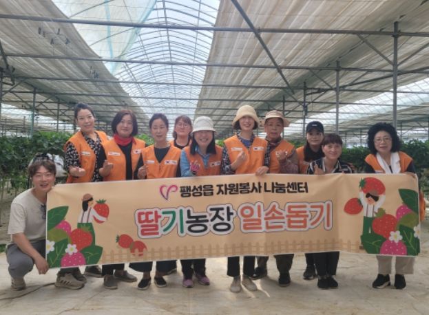 2023년 딸기농장 일손 돕기