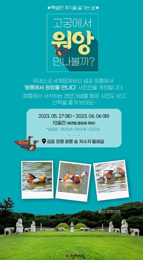 조선왕릉 김포장릉 ‘왕릉에서 원앙을 만나다’ 사진전