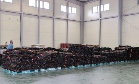 고흥군, 청정해역 건다시마 첫 위판, 본격 출하