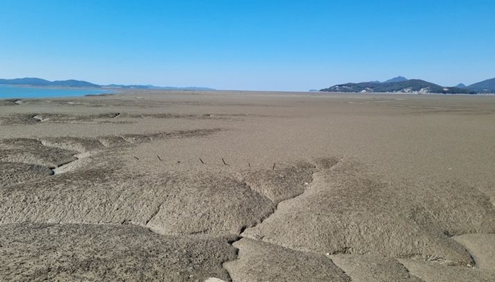 인천시, 갯벌 보전과 이용 방안 마련위한 연구용역 착수