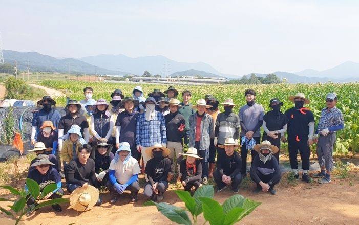 정읍시 소속 공무원들, 농가 일손돕기 ‘구슬땀’
