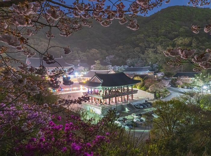 대상 각원사의 봄 밤 - 이정희