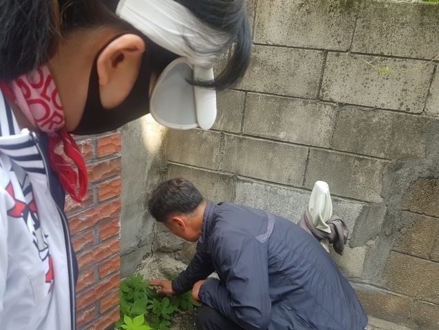 수원시 팔달구 화서1동 현장소통 로드체킹으로 '자연재해 예방 및 안전마을 조성' 나서