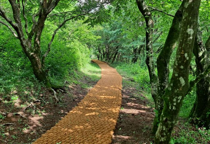 노루생태관찰원 탐방로 정비 완료