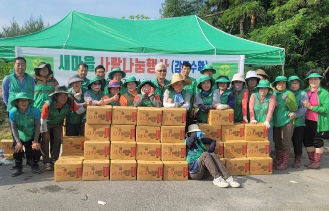 새마을모가면남·녀협의회 사랑나눔 감자수확