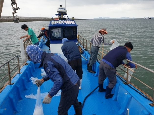 전북도, 주꾸미 자원회복 나서…35만 마리 방류