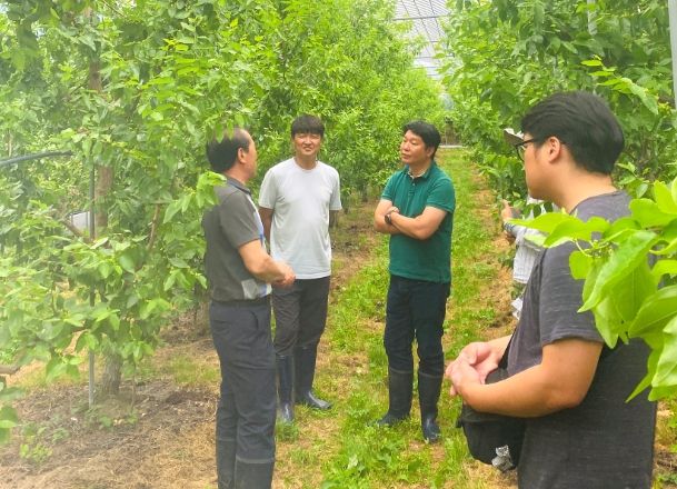 “보은 대추”명성 우리 손에서 시작