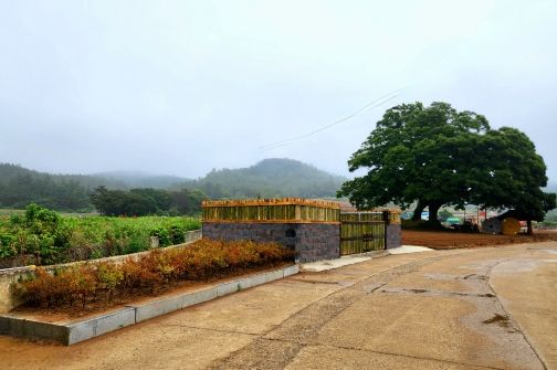 팽나무, 화단 등 주변경관과 어울리는 ‘농부의 품격’ 영농폐기물 공동집하장