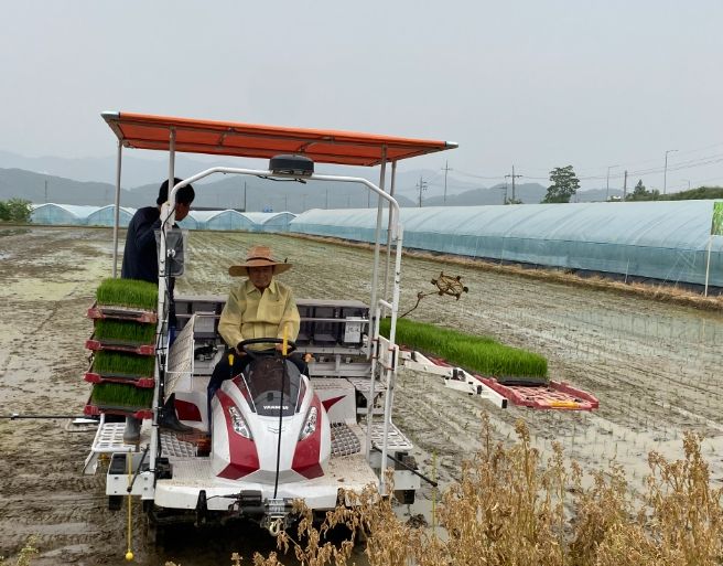 드문모심기 송기섭 군수 참여 사진