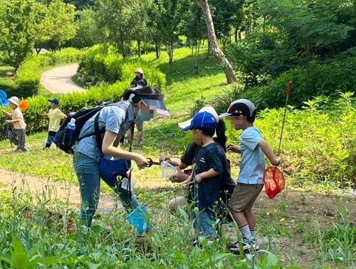 '해충사냥대회'에 참여하고 있는 주민들
