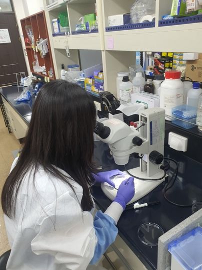 경북도, 인체교상 참진드기 동정 및 병원체 검사 실시