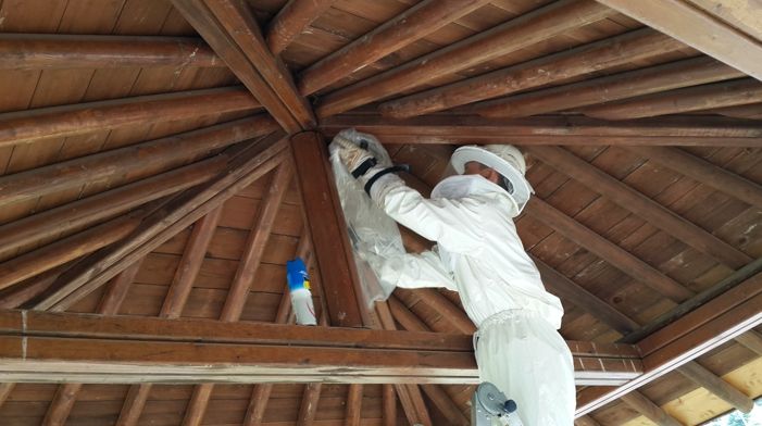 서산소방서, 여름철 ‘벌’ 출현에 주의 당부