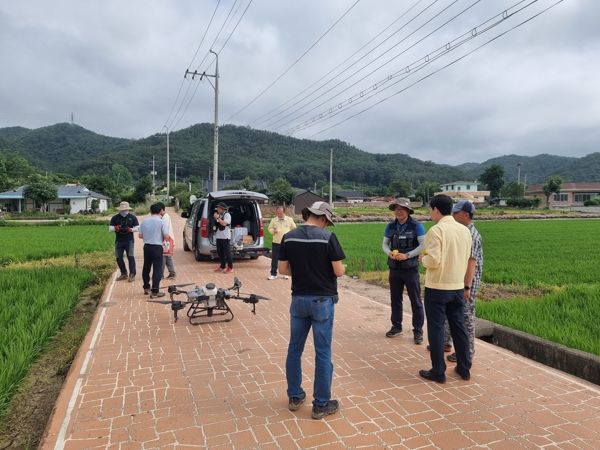 영덕군 드론 활용한 벼 병해충 공동방제 모습