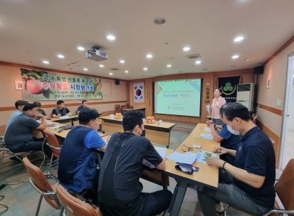 경북도 복숭아 신품종‘주월황도’돌풍 예감!