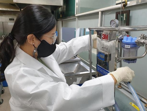 노로바이러스 채수