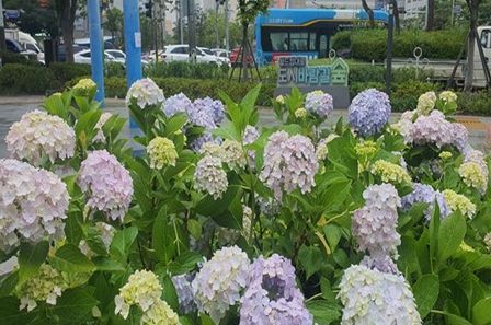 연제구, 거제역 도시바람숲길‘팝업가든’조성