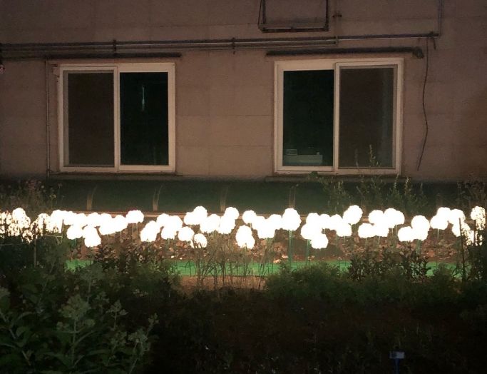 파주시 금촌2동 다가구주택 단지에 엘이디(LED) 꽃 폈다