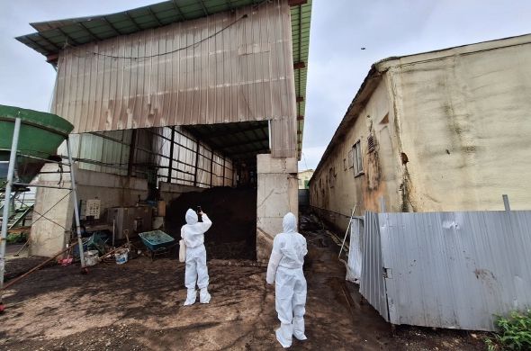 평택시, 장마철 대비 축산농가 합동점검 실시