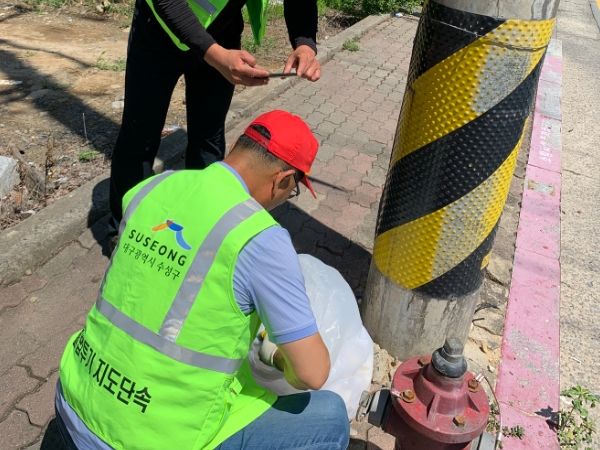 쓰레기 불법투기 단속 전담 시간선택제 임기제 공무원이 무단 투기 신고를 받고 출동해 현장 사진을 찍고 있다.