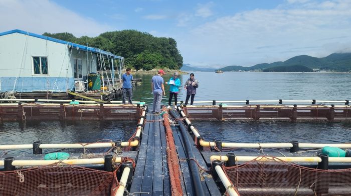 통영시 어류 양식장 전면 실태조사