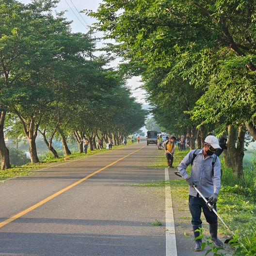 부두로 벚꽃길 환경정화 캠페인 현장