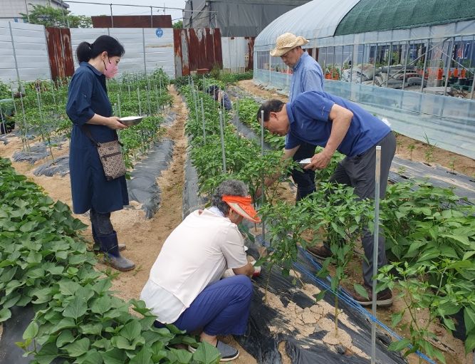 동두천시, 도시 농업(텃밭 재배) 교육 수료식 개최