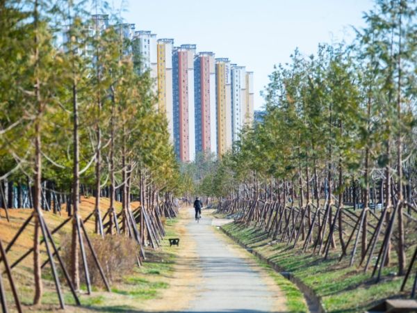 인천 서구, 청라 둘러싸는 ‘기후대응 도시 숲’ 조성···축구장 9개 규모