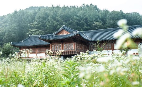 완주 대승한지마을 전통한옥 브랜드화 지원사업 선정