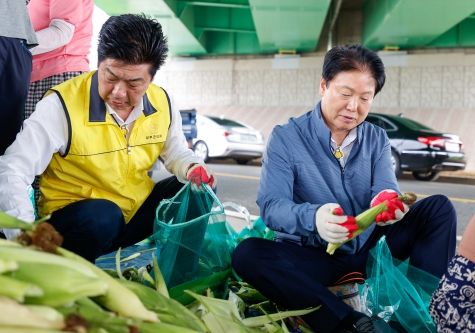 성주읍지역사회보장협의체 영농사업-옥수수 수확 여름철 대표 간식 맛난 옥수수가 왔어요!!