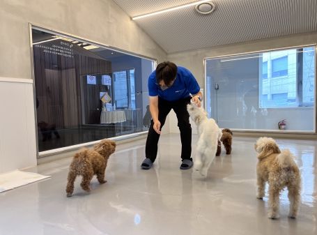 반려견과 함께 놀아주기