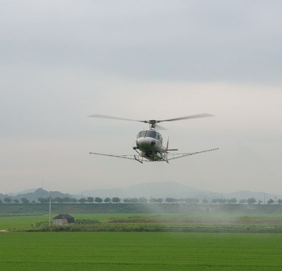 고품질 시흥쌀 생산 위해 '벼 병해충 항공방제' 추진