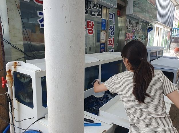 동해시, 묵호항 주변 횟집 식중독 '이상무'