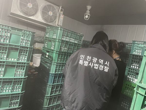 인천시, 닭 가공품 제조‧유통업소 특별단속해 3개 업소 적발