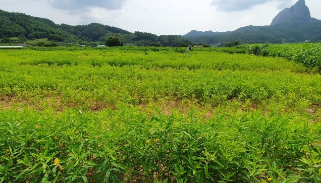 진안군, 농촌에서도 온실가스가 배출된다고요?