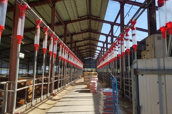 한우 농가 전경