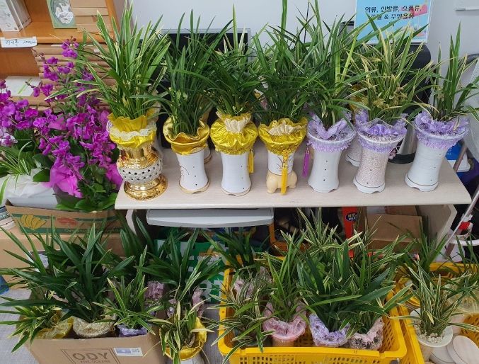 기부된 화분사진