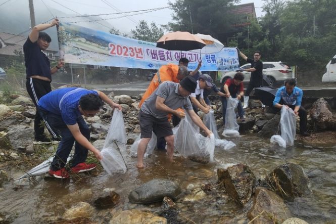 현동천에 토종 민물고기 복원 ‘버들치 어린고기’ 방류